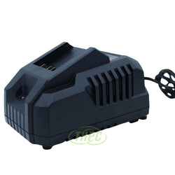 Cargador DongCheng FFCL20-04 · 4 A · vista 1
